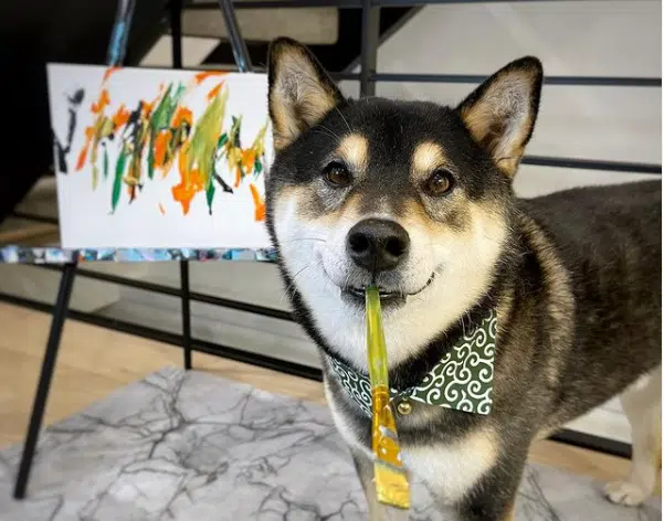 Turtle Mayo, Dog Painter, GameSnacks