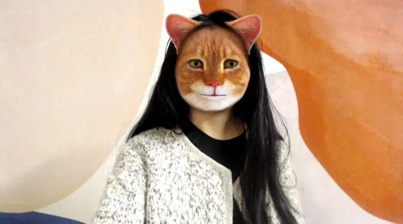 Lack of Dinosaurs, Skelecaster, Cat Filters