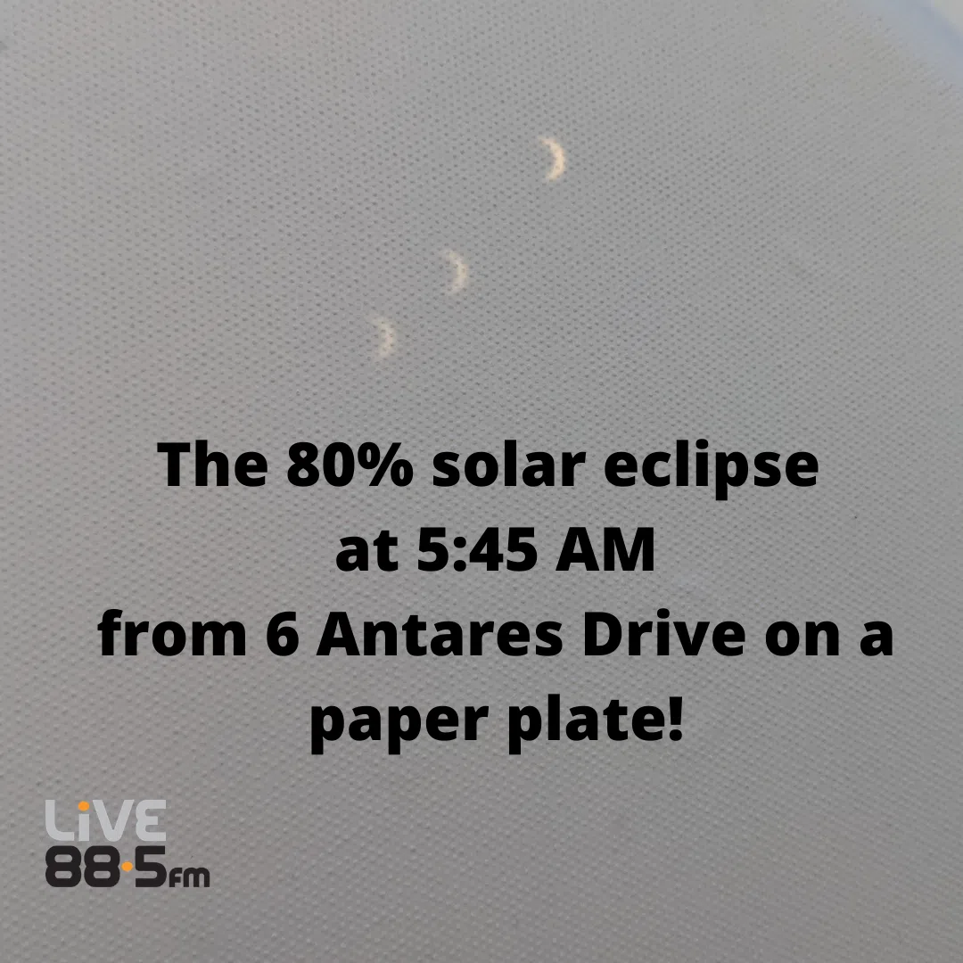 Solar Eclipse, Dog herding sheep, Cyborg cockroach camera