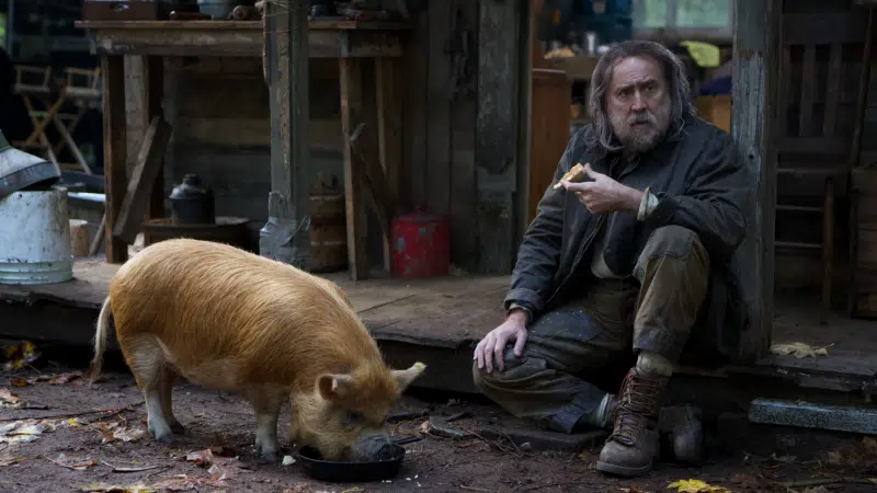 Pig movie review, Coffin flowerbed, Campfire cones