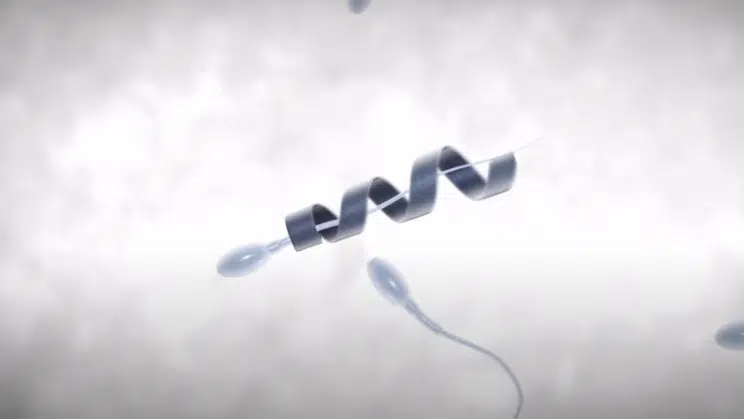 Nanobots carrying Lazy Sperm, Bomb threats to get out of work, TikTok has 1 Billion users