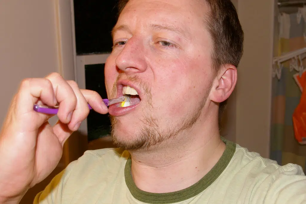 Selling Poop, Robot making tortilla chips, Brushing your teeth wrong