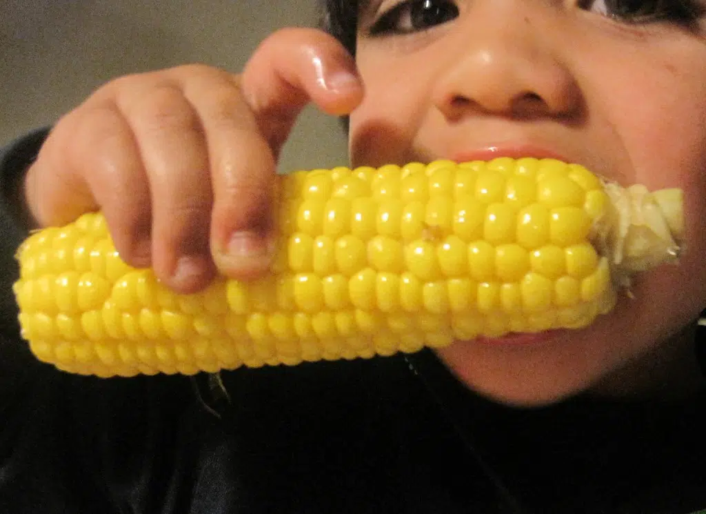 Corn-bassador, Beer shortage coming, Blocking streams in Canada