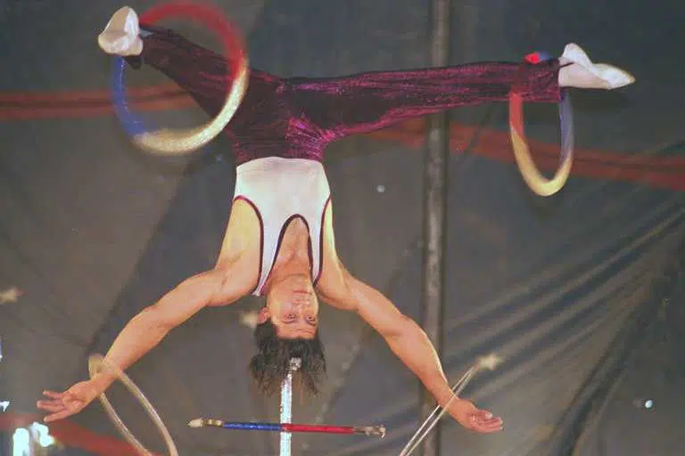 High School Credit for Circus in Peterborough, Pigeon with Crystal Meth, Pancake Bot