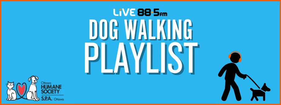 Dog Walking Playlist