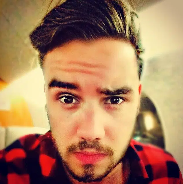Liam Payne Does Not Like Harry Styles' Music