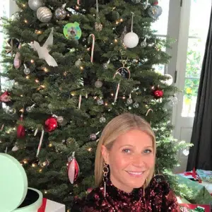 Gwyneth Paltrow Hangs a Christmas Stocking for Ex Chris Martin
