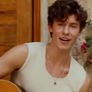 Shawn Mendes debuted a new music video