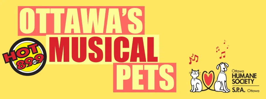 Ottawa’s Musical Pets