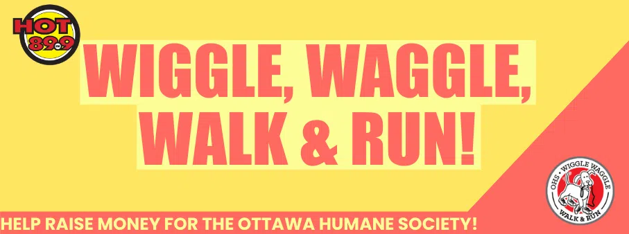 Support Team HOT 89.9 in the Wiggle Waggle Walk and Run!