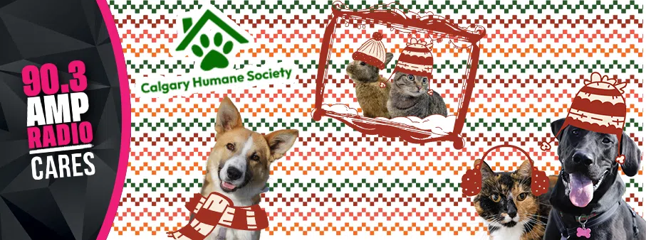 Calgary Humane Society